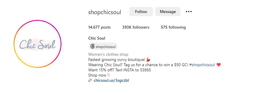 Screenshot of the instagram profile of chic soul - marketing