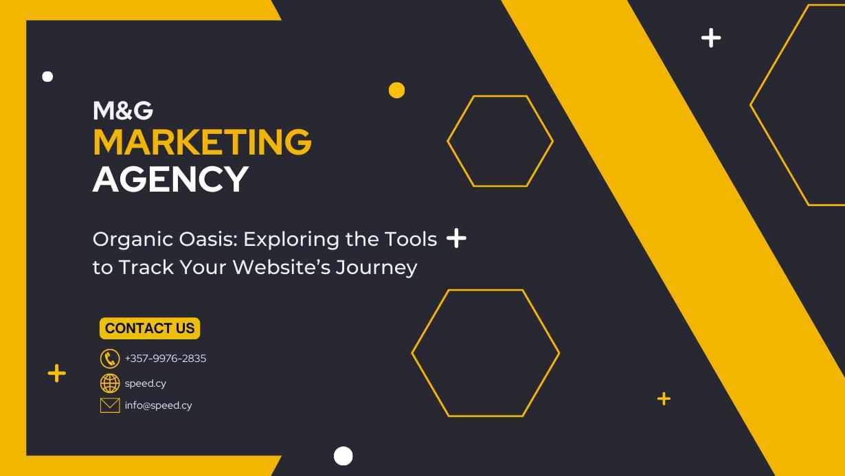 Your organic oasis: exploring the tools to track your website’s journey